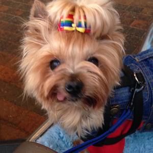 Meet your Posher, Jayne